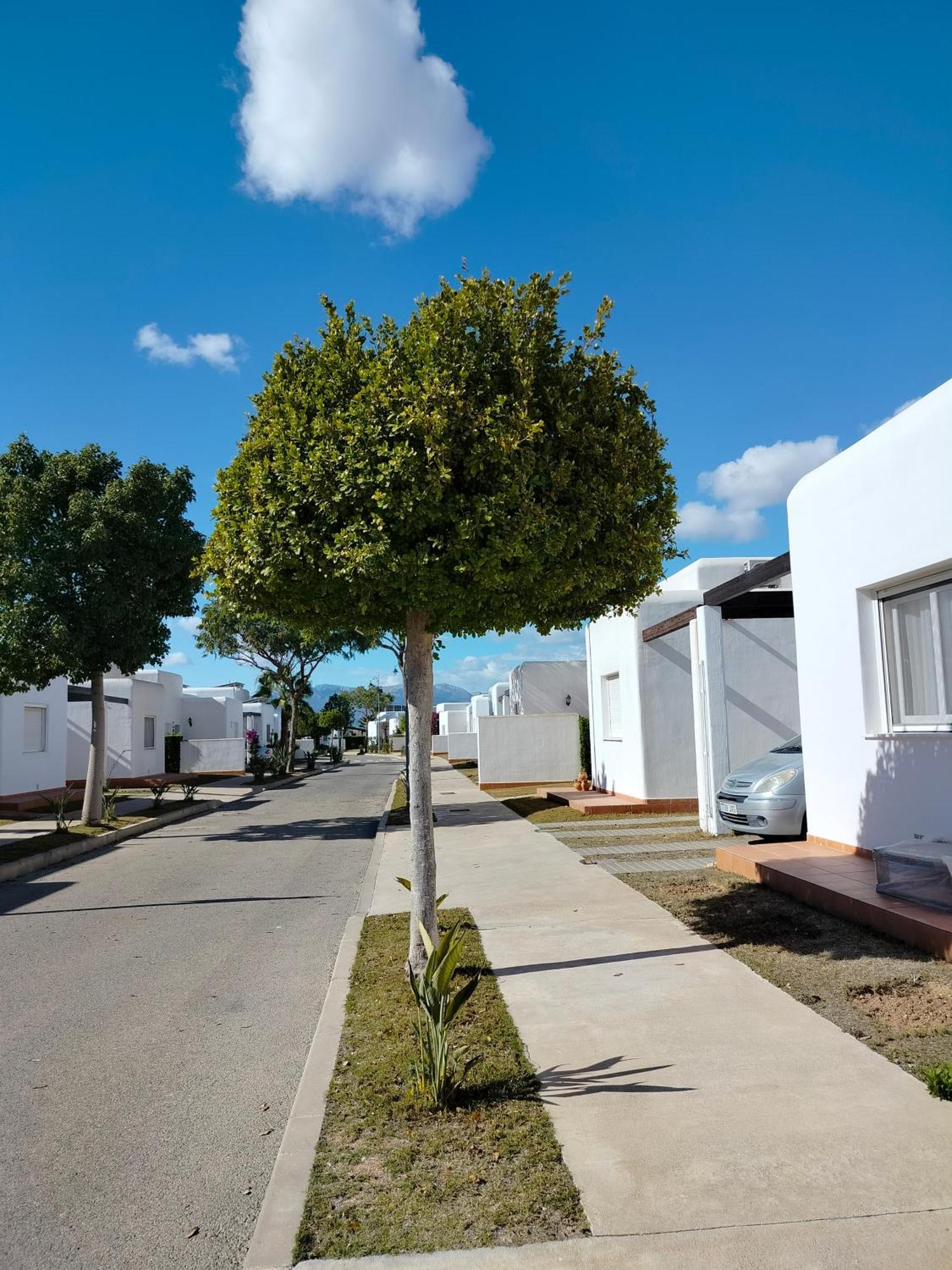 Condado De Alhama Golf - Alba * Alhama de Murcia